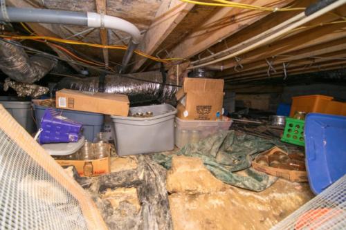 1122IgoRidge-0179