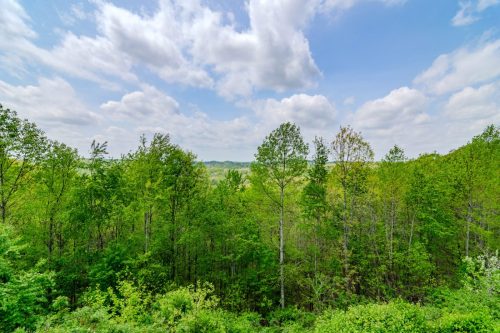 1250WilderRidge-0216
