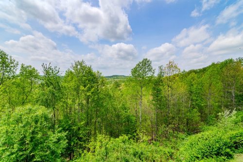 1250WilderRidge-0218