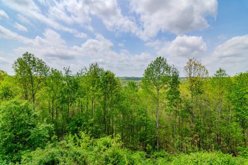1250WilderRidge-0226