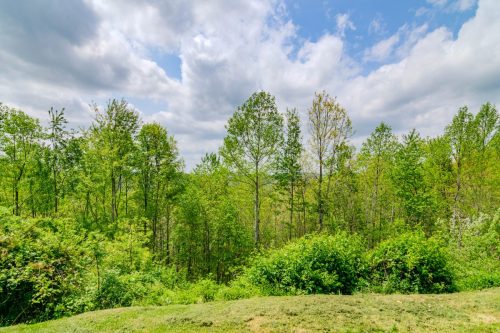 1250WilderRidge-0254