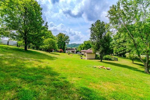 1270AlumSprings-0343