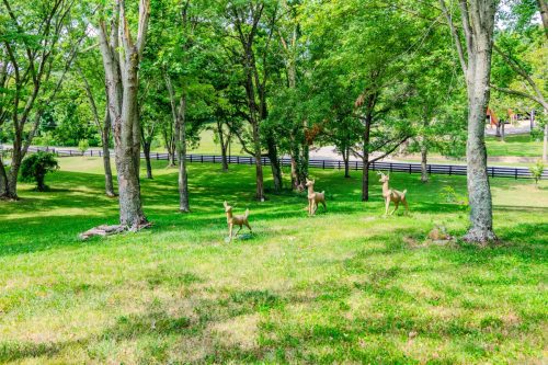 1270AlumSprings-0347