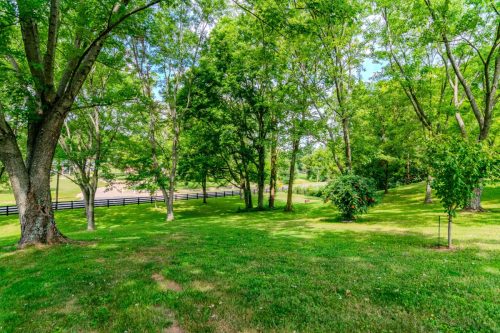 1270AlumSprings-0367