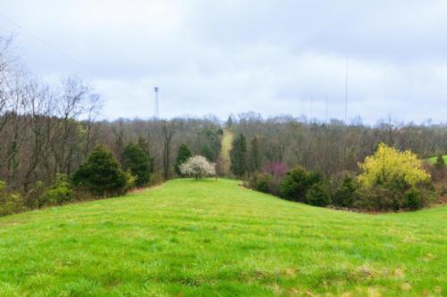 1279MoundHill-0188