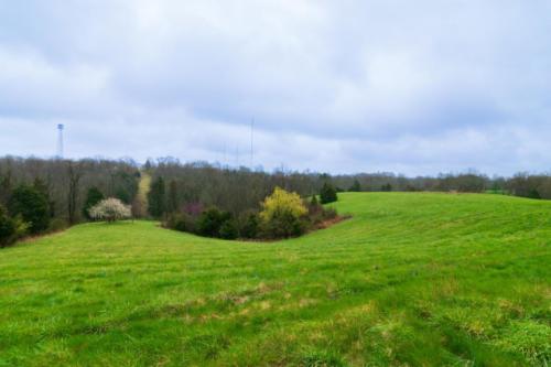 1279MoundHill-0193