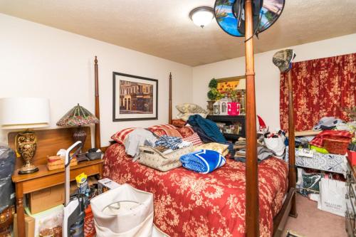 1304-1306LeaningTree-0322