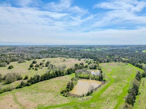 1350GilbertsCreek-0263