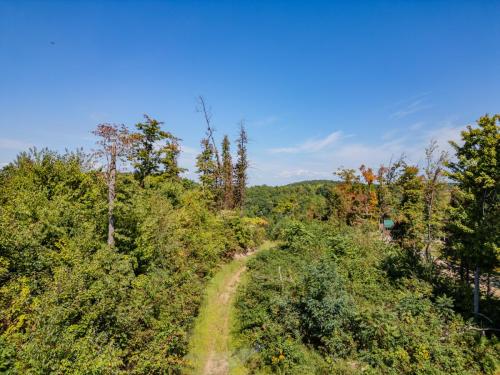 15001Hwy2004-0050
