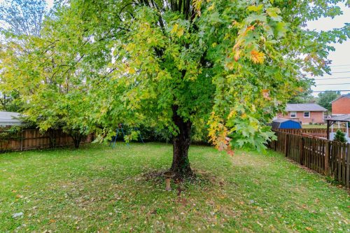 1932SpringStation-0053