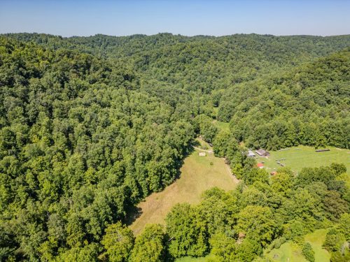 1995LowerCaneCreek-0199