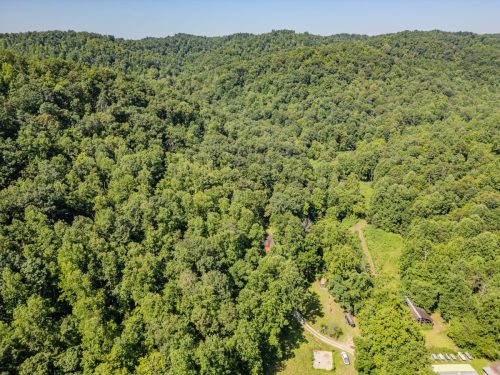 1995LowerCaneCreek-0201