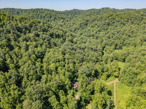 1995LowerCaneCreek-0203