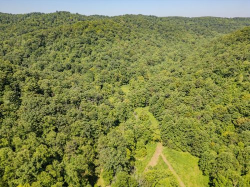 1995LowerCaneCreek-0205