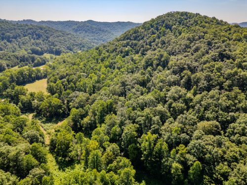 1995LowerCaneCreek-0211