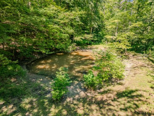 1995LowerCaneCreek-0220