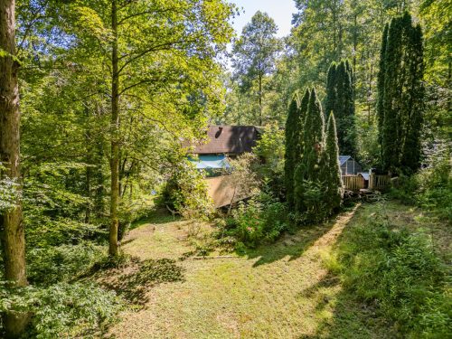 1995LowerCaneCreek-0224