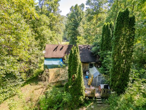 1995LowerCaneCreek-0226