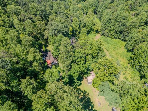 1995LowerCaneCreek-0235