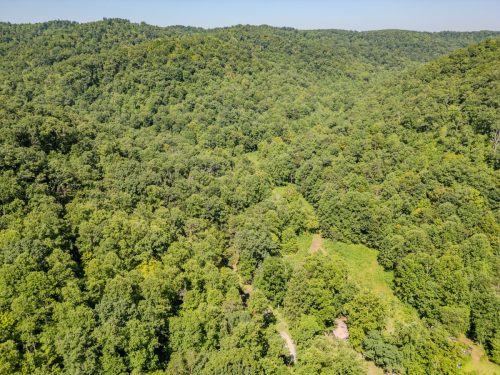 1995LowerCaneCreek-0237