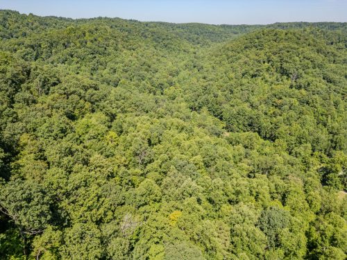 1995LowerCaneCreek-0239