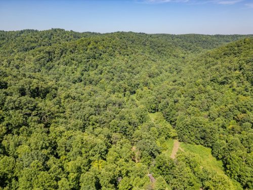 1995LowerCaneCreek-0241