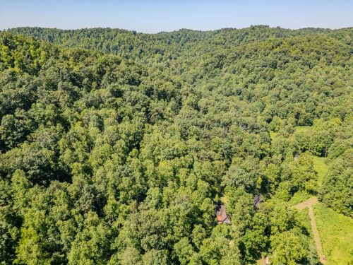 1995LowerCaneCreek-0248