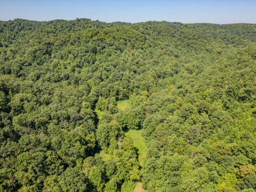 1995LowerCaneCreek-0249