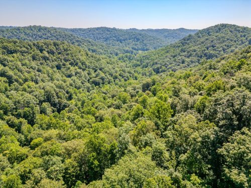 1995LowerCaneCreek-0254