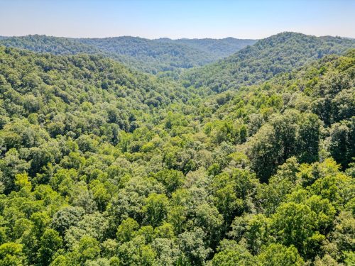 1995LowerCaneCreek-0256