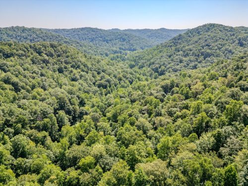 1995LowerCaneCreek-0258