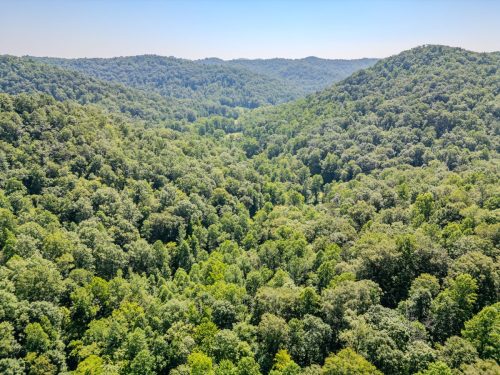 1995LowerCaneCreek-0260