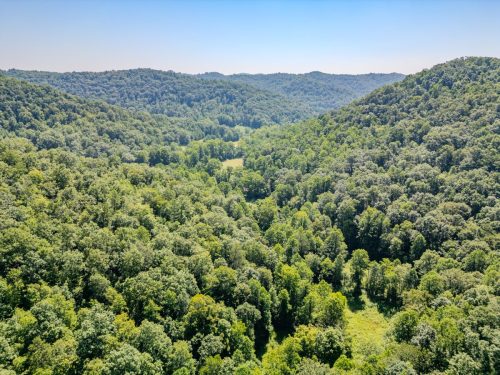 1995LowerCaneCreek-0262