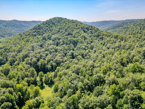 1995LowerCaneCreek-0264