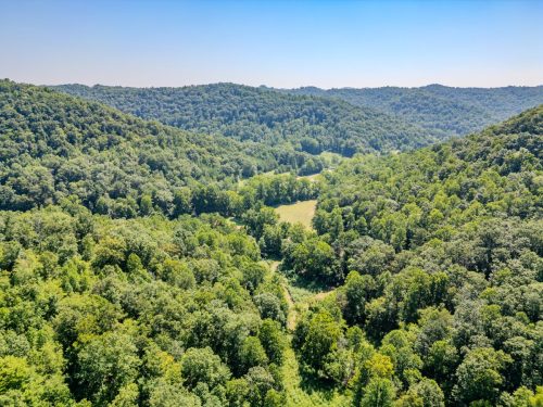 1995LowerCaneCreek-0266