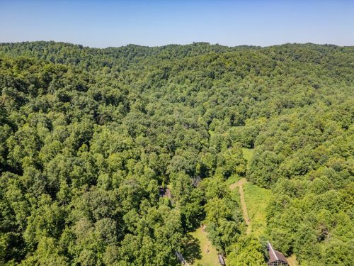 1995LowerCaneCreek-0273