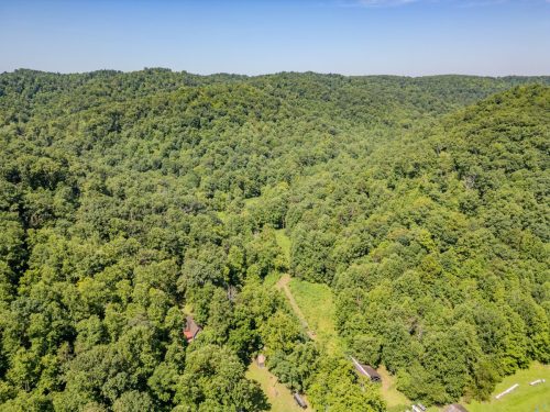 1995LowerCaneCreek-0278