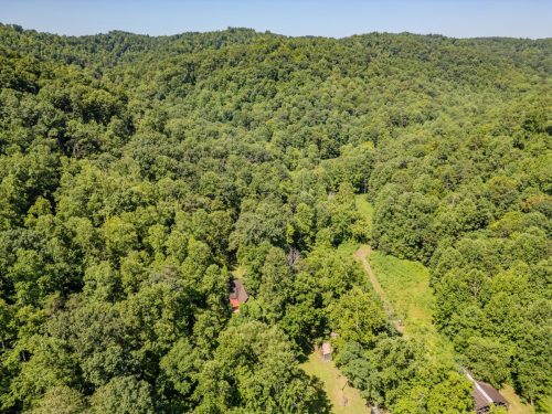 1995LowerCaneCreek-0281