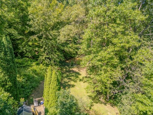 1995LowerCaneCreek-0286