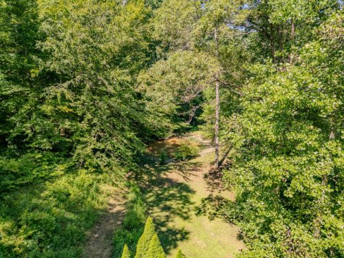 1995LowerCaneCreek-0288