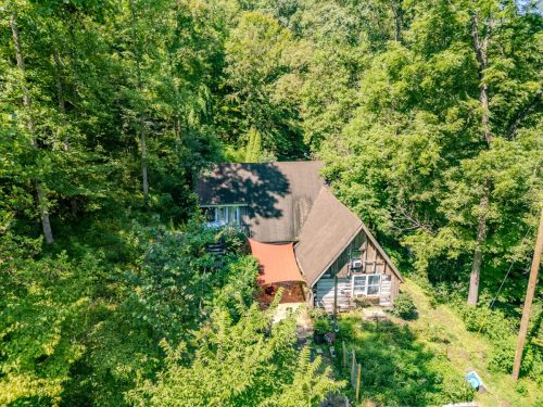 1995LowerCaneCreek-0290