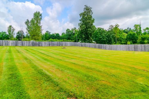 2014OldSomersetStanford-0112