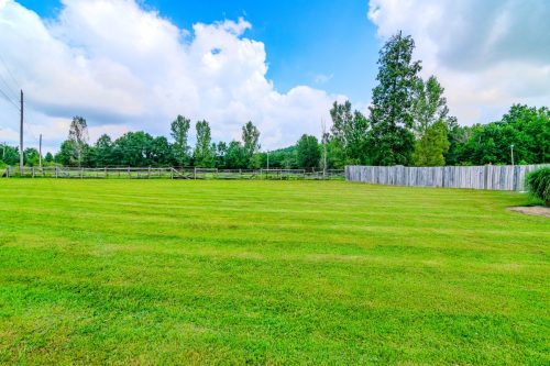 2014OldSomersetStanford-0171