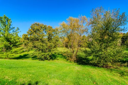 2237LovellUpdate-0152