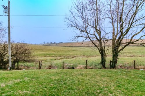 226BuffaloTrace-0169