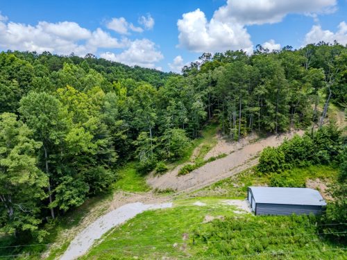 2291BlankeyBranch-0296