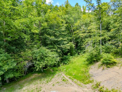 2291BlankeyBranch-0298