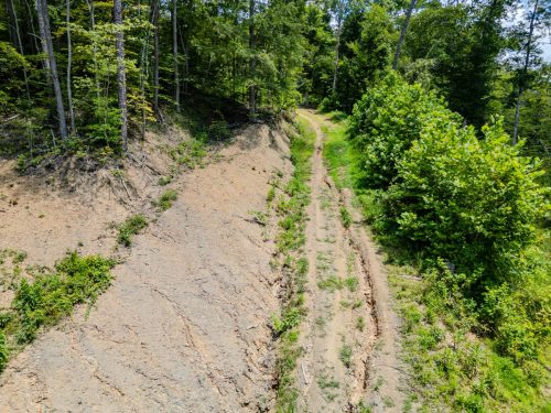 2291BlankeyBranch-0301