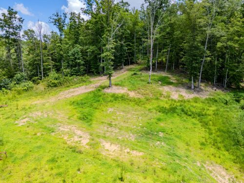 2291BlankeyBranch-0306