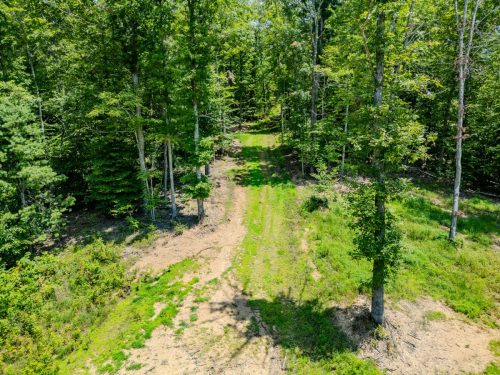 2291BlankeyBranch-0309